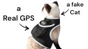 Find Pet Easily with Pet Tracker Mini GPS Collar for Dogs Tracking Device Size:L