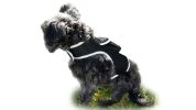 Get Realtime SMS Site Reports w/ Waterproof Mini GSM GPS Pet Tracker Size:L
