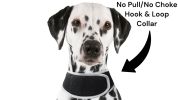 Get Realtime SMS Site Reports w/ Waterproof Mini GSM GPS Pet Tracker Size:L